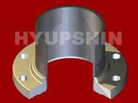 Shandong Hyupshin Flanges Co., Ltd