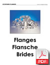 Shandong Hyupshin Flanges Co., Ltd