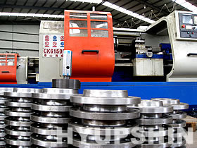 Jinan Hyupshin Flanges Co., Ltd